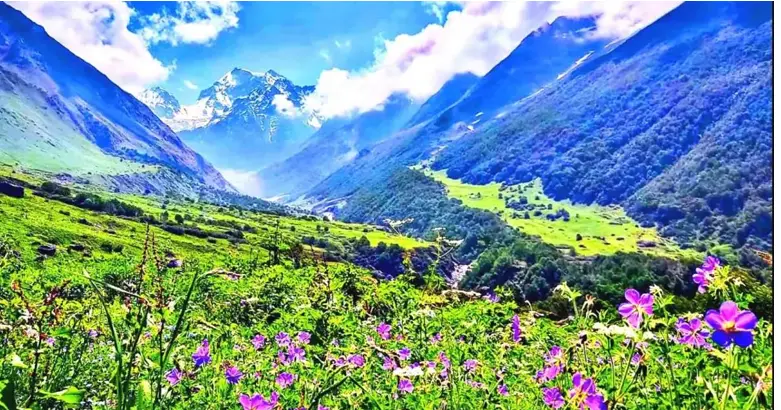 valley of flowers tour
