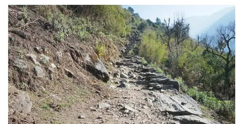 Valley of Flowers trekking adventure Uttarakhand