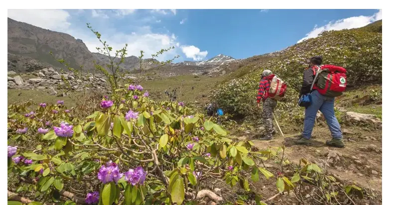 Valley of Flowers and Hemkund Sahib travel guide