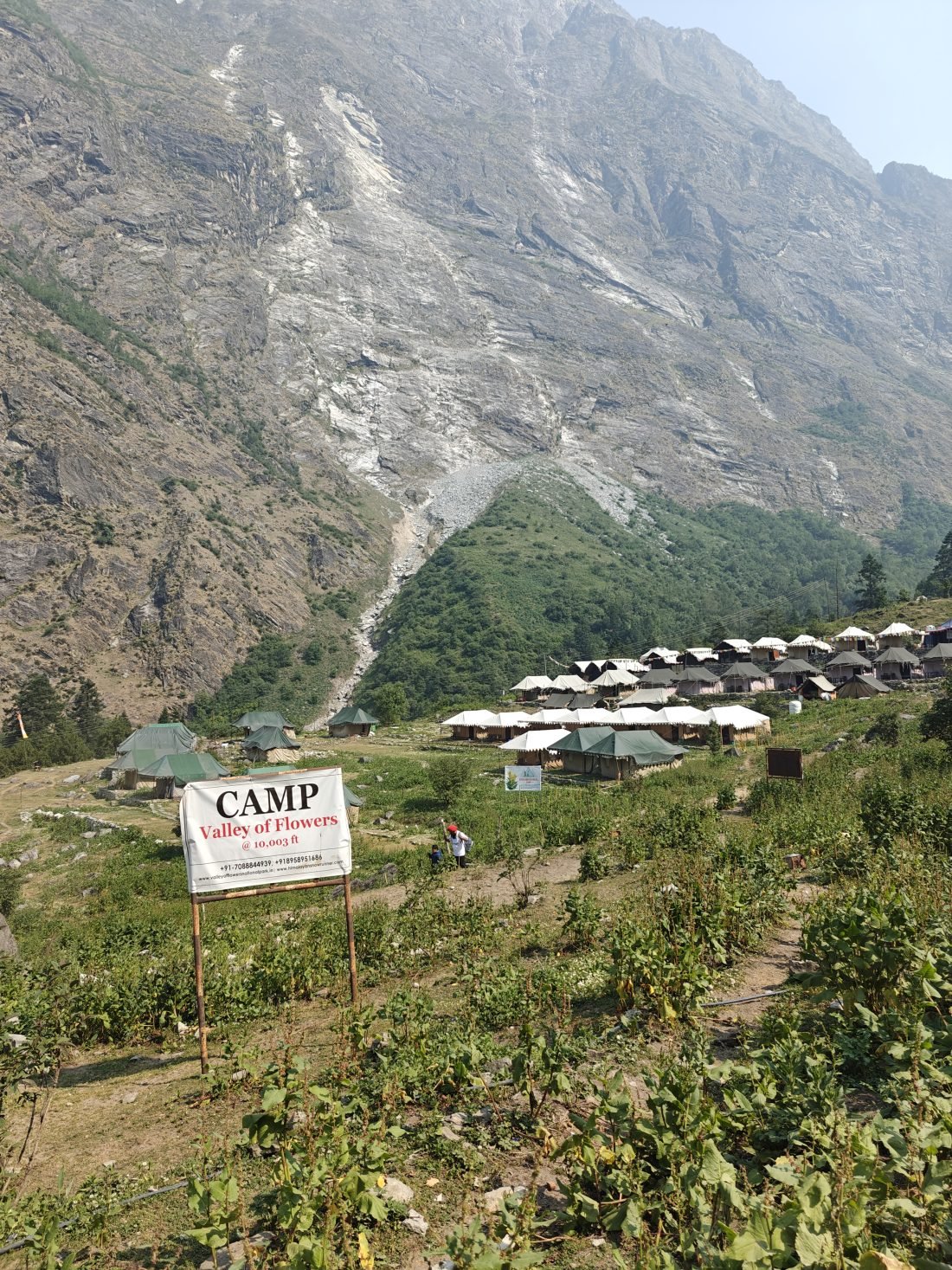Valley of Flowers with Ghangaria base camp — guesthouses and tents below the mountains at Ghangaria village, Uttarakhand